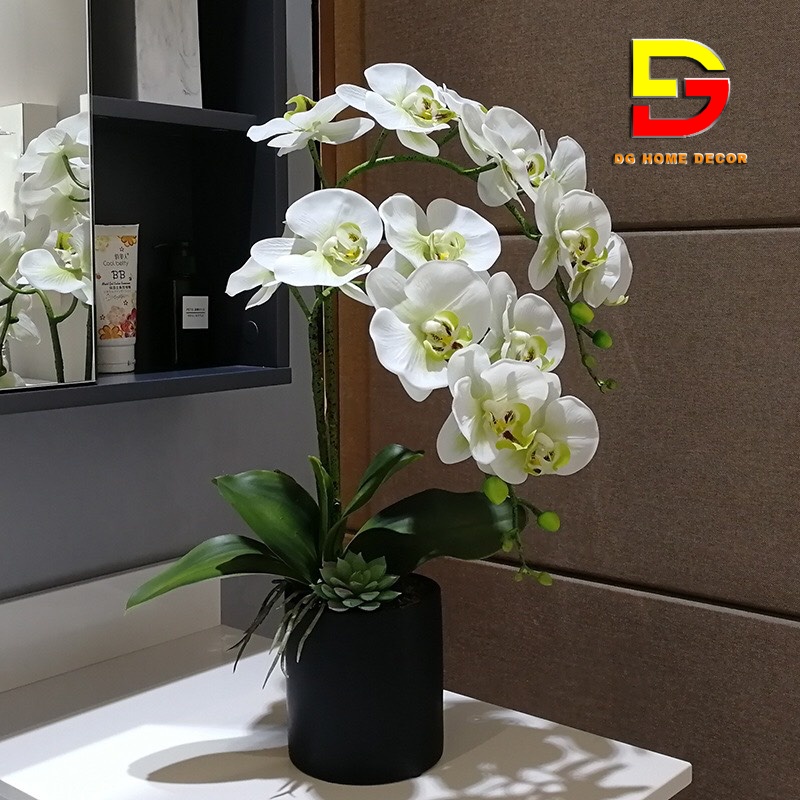Bình Hoa Để Bàn Hoa Lan Hồ Điệp Cao Cấp Điểm Sen Đá Độc Đáo Sang Trọng DG-62