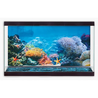 Tranh phông nền dán hồ cá, bể thủy sinh 2 mặt lưng và đáy Aquarium tank - 038