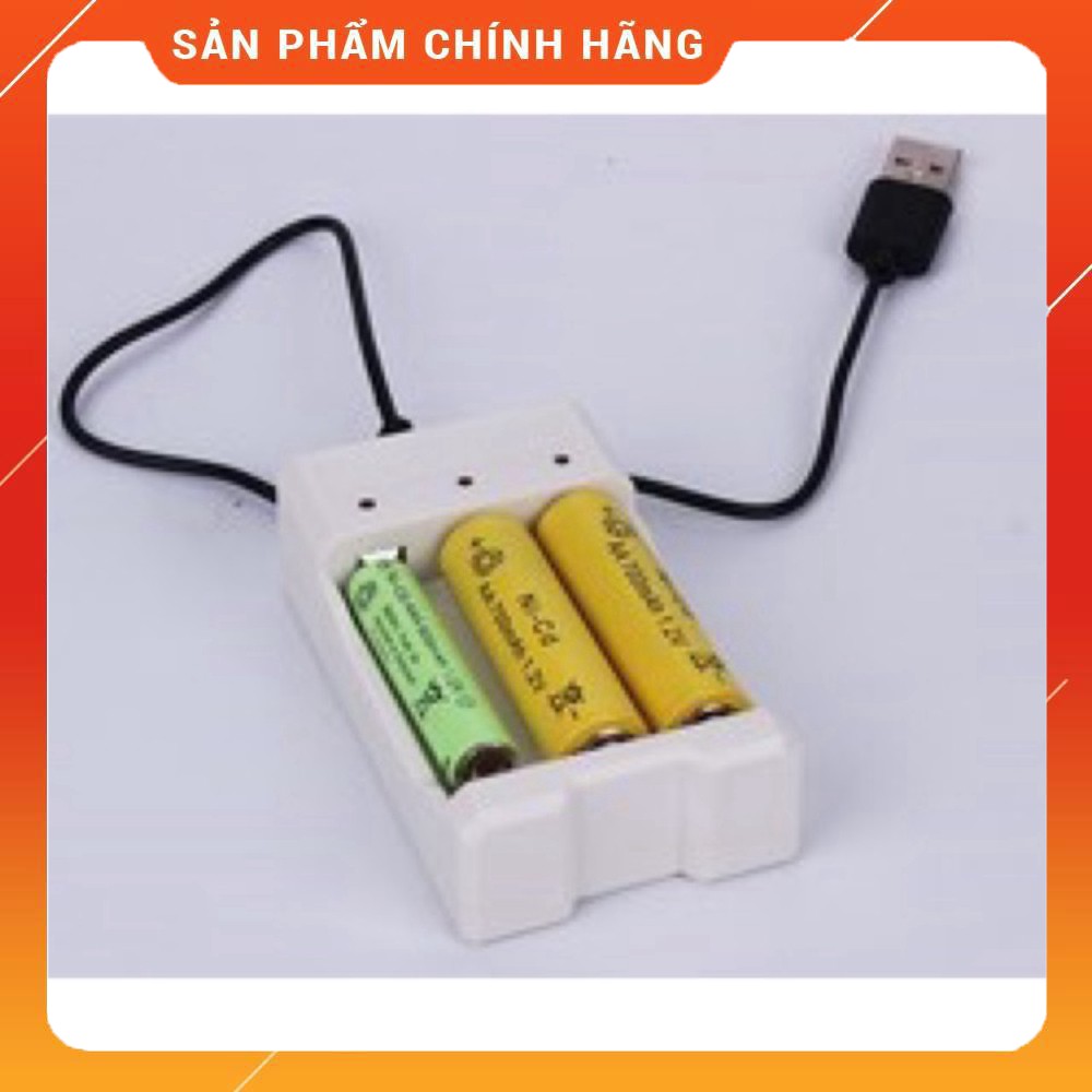 [ Giá tại kho ] Bộ sạc pin tiểu đa năng usb Linh Kiện Thiện Phát - 308 Thống Nhất Là nhà phân phối linh điện kiện tử - đ