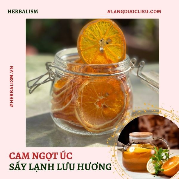 Trà Cascara Cam Quế Cỏ Ngọt [HOT 2021] - TÚI MIX SẴN