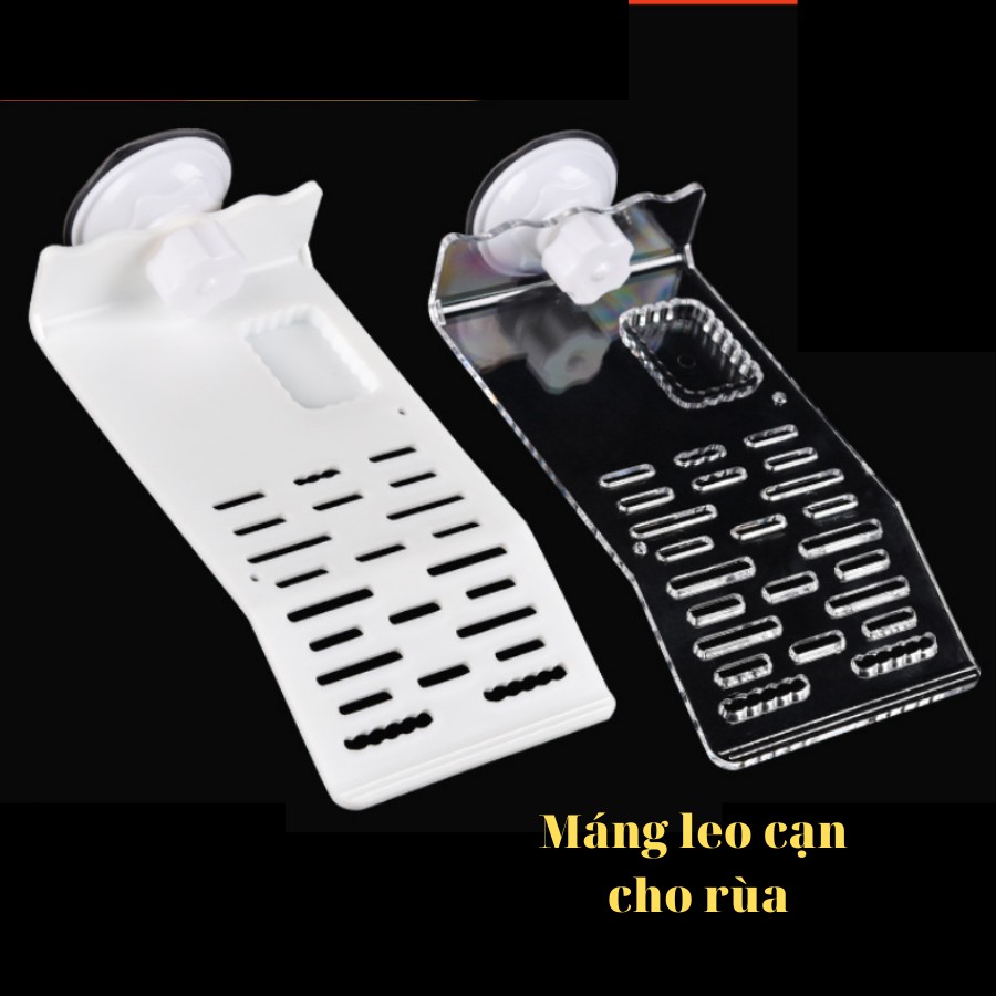 Máng Leo Cho Rùa, Máng Leo Nhựa Trắng Cao Cấp Dành Cho Rùa Cảnh