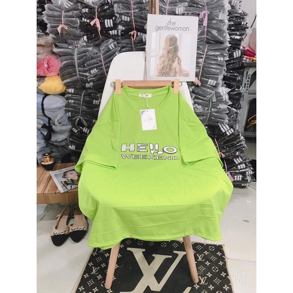 Áo thun mèo TOTORO TC6