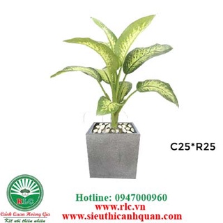 Chậu xi măng đá mài vuông c25xr25