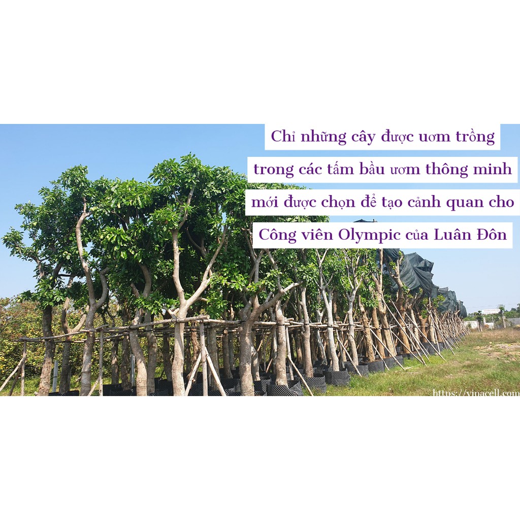 Bầu Ươm Thông Minh Ropot 20 - 30 - 40 - 50 - 60 - 80 - 90 cm dài 5m