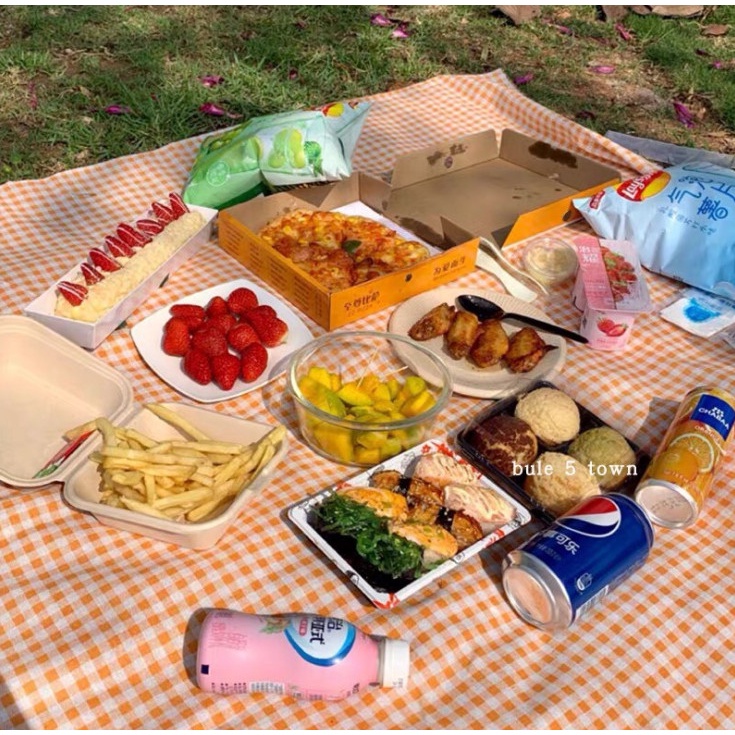 Vải canvas mẫu hình chill picnic / trải bàn học / tủ lạnh / bàn ăn