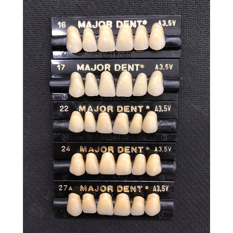 Răng nhựa giả tháo lắp màu A1 siêu cứng 3 lớp Major Dent Italy Artificial Teeth