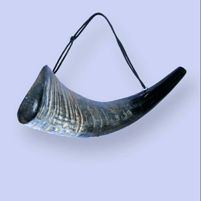 tù và -sừng trâu-kích thước 32-35cm