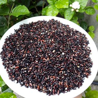 Combo trà gạo lứt, vừng đen, ngũ cốc dinh dưỡng