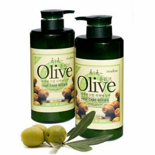 Dầu gội và dầu xả olive