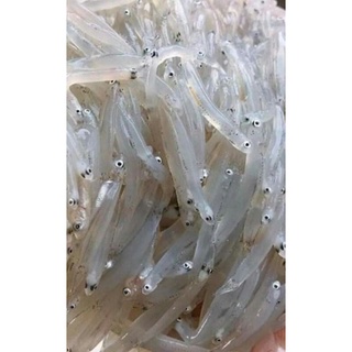 Cá cơm khô lạt đặc sản biển