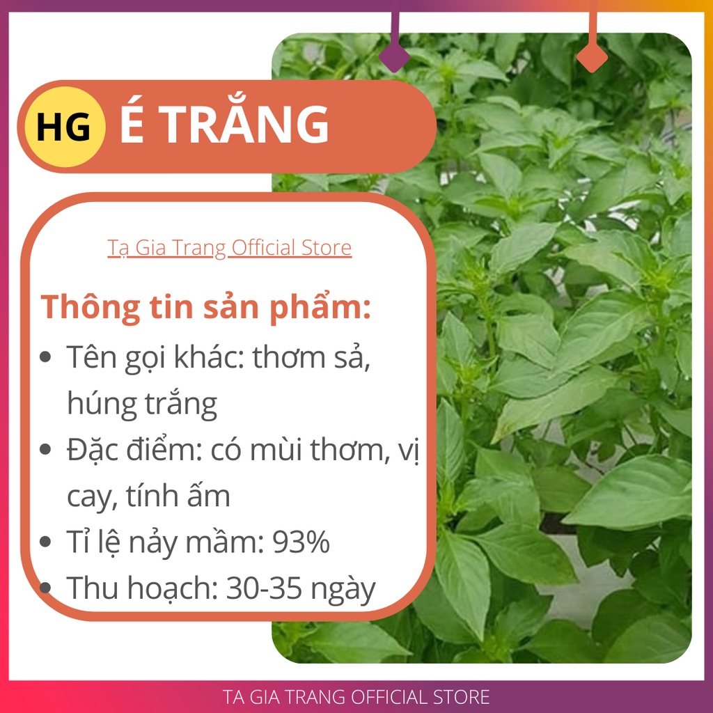 Deal 1K - 50 hạt giống rau é trắng (rau thơm sả) - Tập làm vườn cùng Tạ Gia Trang