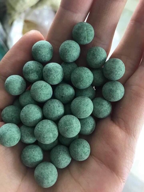 1 kg 2 hộp Viên mầm Tảo Diệp lục (Rẻ nhất Shopee)