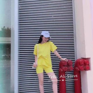 Bộ ngố chủ