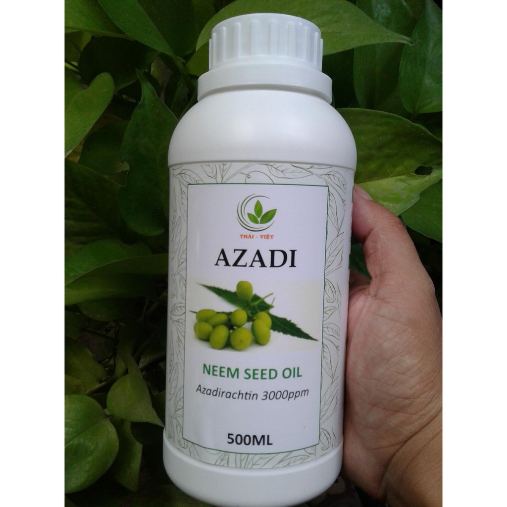 (MIỄN PHÍ VẬN CHUYỂN) COMBO Neem 500ml, 2 gói thuốc nấm coc85, 1 phân cá hạt