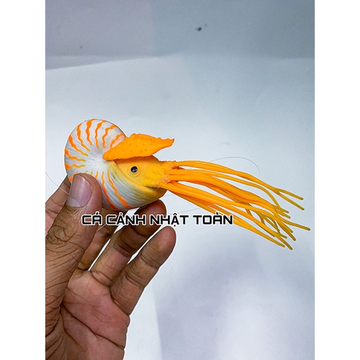 ÓC SÊN HÍT ĐÁY NỔI TRANG TRÍ BỂ CÁ CẢNH DÀI 8CM