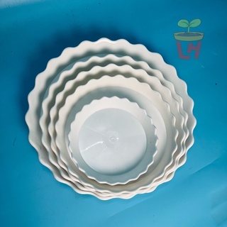Dĩa bèo nhựa lót chậu trồng cây