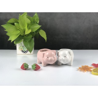 Chậu trồng sen đá- chậu heo siêu dễ thương