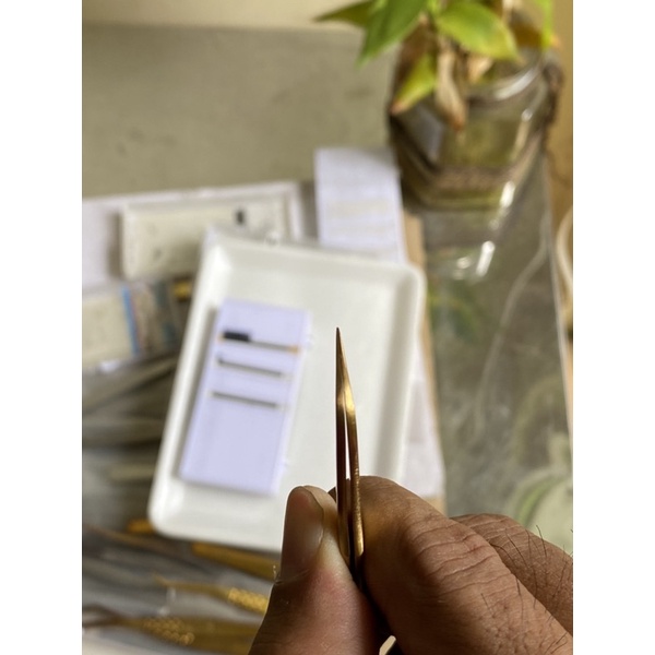 Nhíp classic Vetus chính hãng