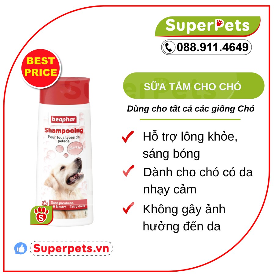 Sữa Tắm Cho Chó Hương Lô Hội Khử Mùi BEAPHAR SHAMPOO BUBBLE UNIVERSAL DOG SUPERPETS VIỆT NAM