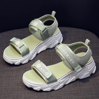 SANDAL HOA CÚC