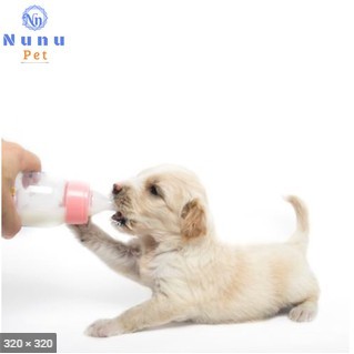 Sữa chó mèo BI-O MILK FOR PET -100g