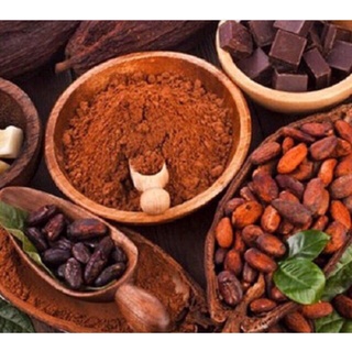 Bột cacao nguyên chất 100g