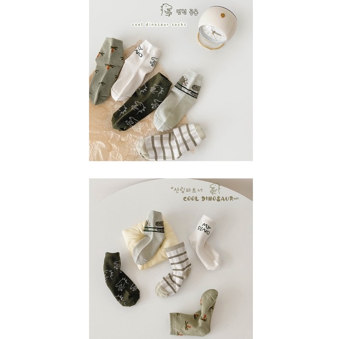 Set 5 Đôi Tất Cotton Cho Bé trai (1-12 Tuổi) Hoạ Tiết Khủng Long Xanh Rêu siêu ngầu