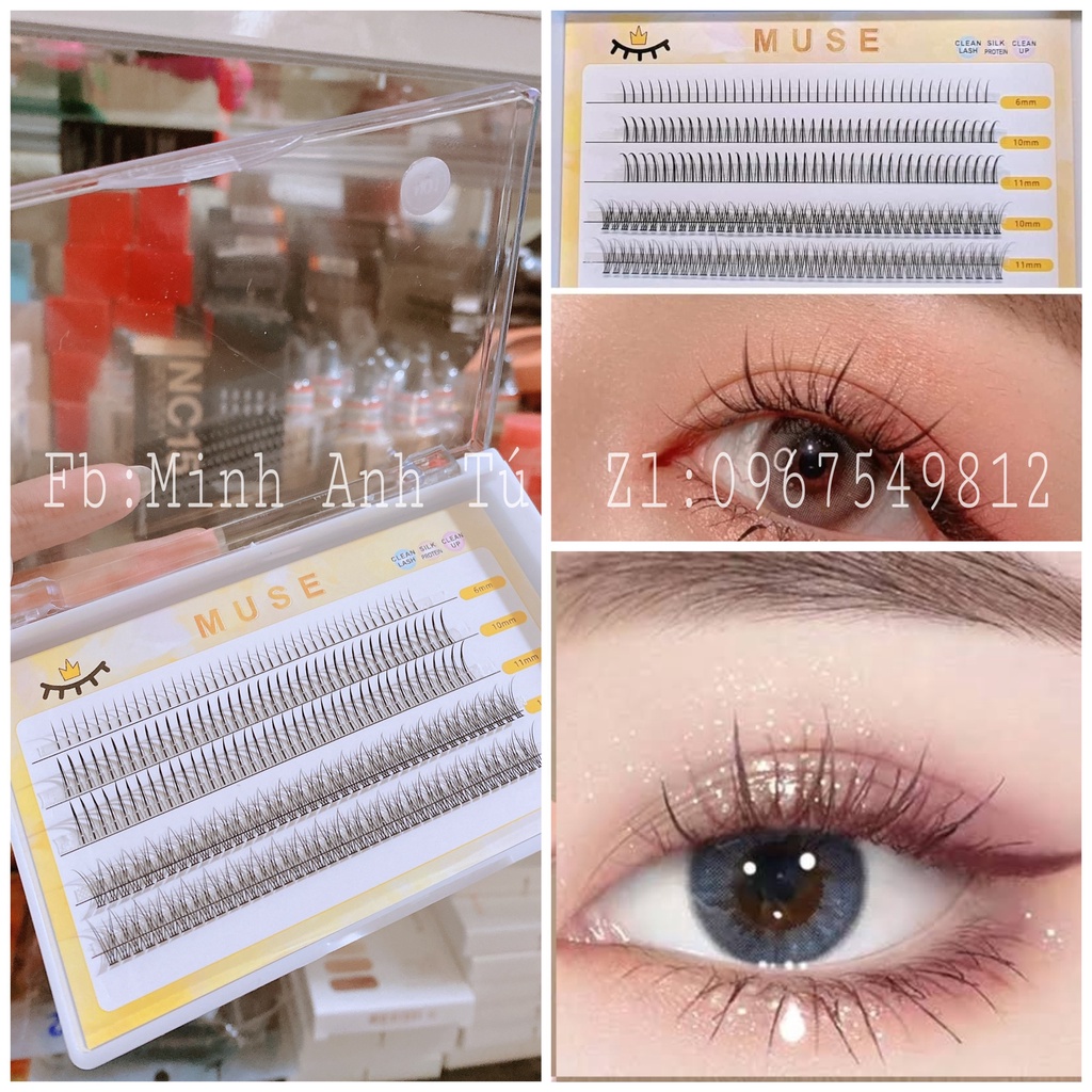 Lông Mi Giả Chùm Tự Nối SEVICH Dáng Chữ A Chữ V Mix Size - Mẫu Mi Hot Trend Tiktok Douyin
