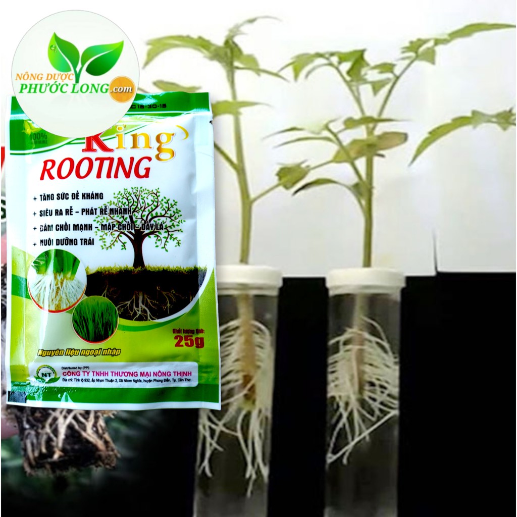 [Trùm Rễ] Phân Bón Lá ROOTING Siêu Ra Rễ 25gr, Phát Đọt Nhanh, Mập Chồi, Dày Lá, Siêu Tăng Trưởng Cho Cây Trồng Của Bạn