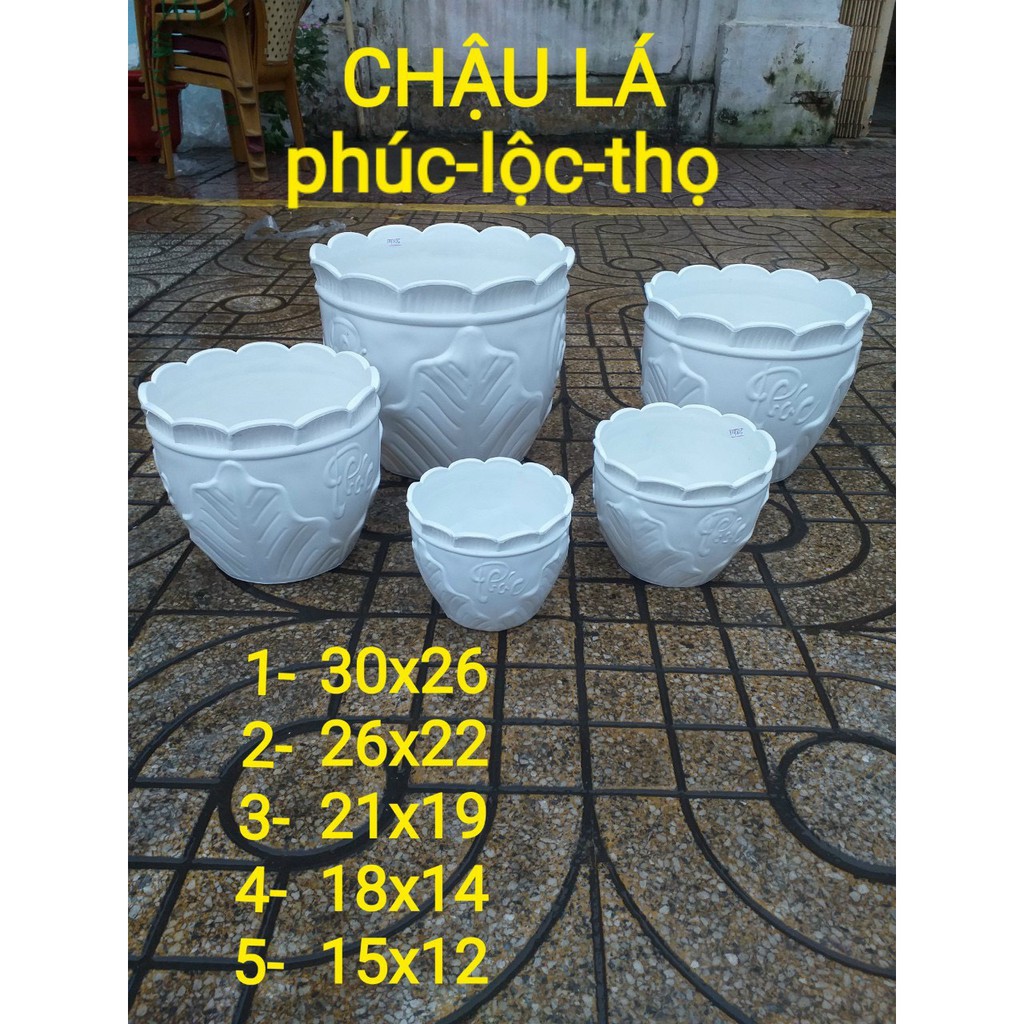 Chậu nhựa chiếc lá tròn 215