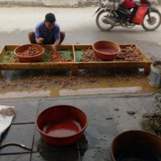 Tinh bột nghệ