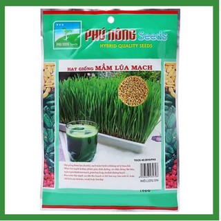 Hạt giống mầm lúa mạch cỏ lúa mì Phú Nông 100gr