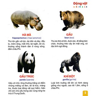 Từ Điển Tranh Dành Cho Thiếu Nhi (Bộ Túi)