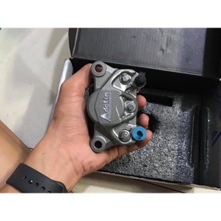 Heo thắng Adelin 2 pis