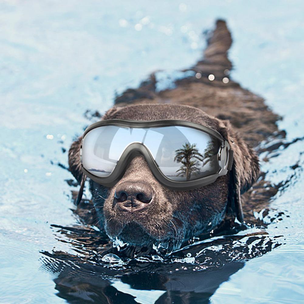 Kính Mát Chống Tia UV Chống Nước X4J8 Điều Chỉnh Được Mẫu Mới 2022 Cho Cún Cưng