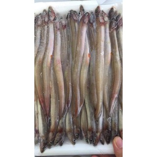 cá sụn sịn siêu ngon khay 500g
