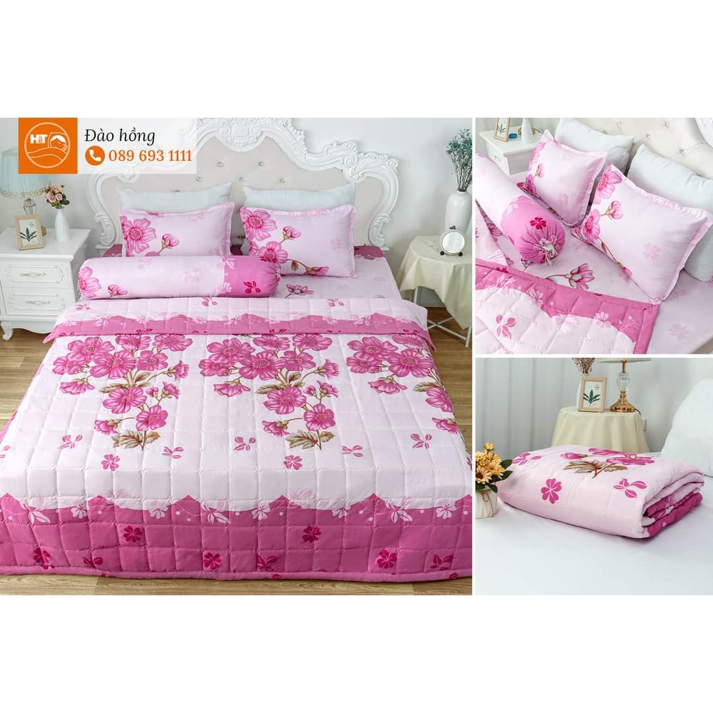 Bộ chăn hè trần bông ga gối 5 món poly cotton Hàn Quốc hàng loại 1 | BigBuy360 - bigbuy360.vn