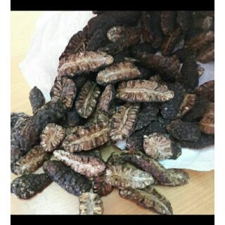 Quả nhàu khô 1kg date t12/ 2025. ninh thuận việt nam