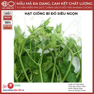 Hạt Giống Bí đỏ siêu ngọn (20gr) - Là loại cây thân leo - Sinh trưởng nhanh, chống sâu bênh