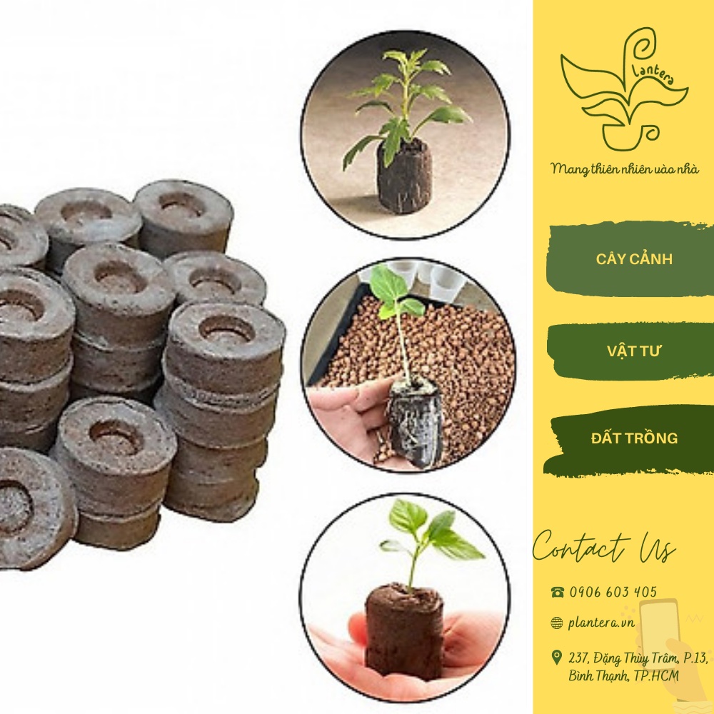 Viên Nén Xơ Dừa Lẻ Viên Tiện Dụng - Giá Thể - Viên Nén Xơ Dừa - 1 Viên
