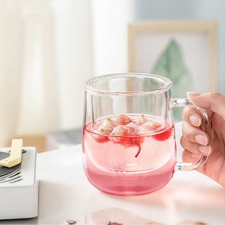 Ly lọc trà thủy tinh Samadoyo S024A 500ml