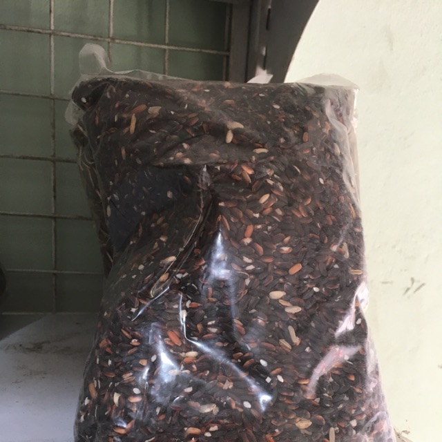 Nếp cẩm Điện Biên bịch 1kg