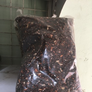 Nếp cẩm Điện Biên bịch 1kg