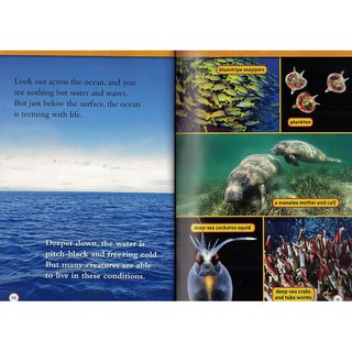 Đồ chơi- National Geographic level 3