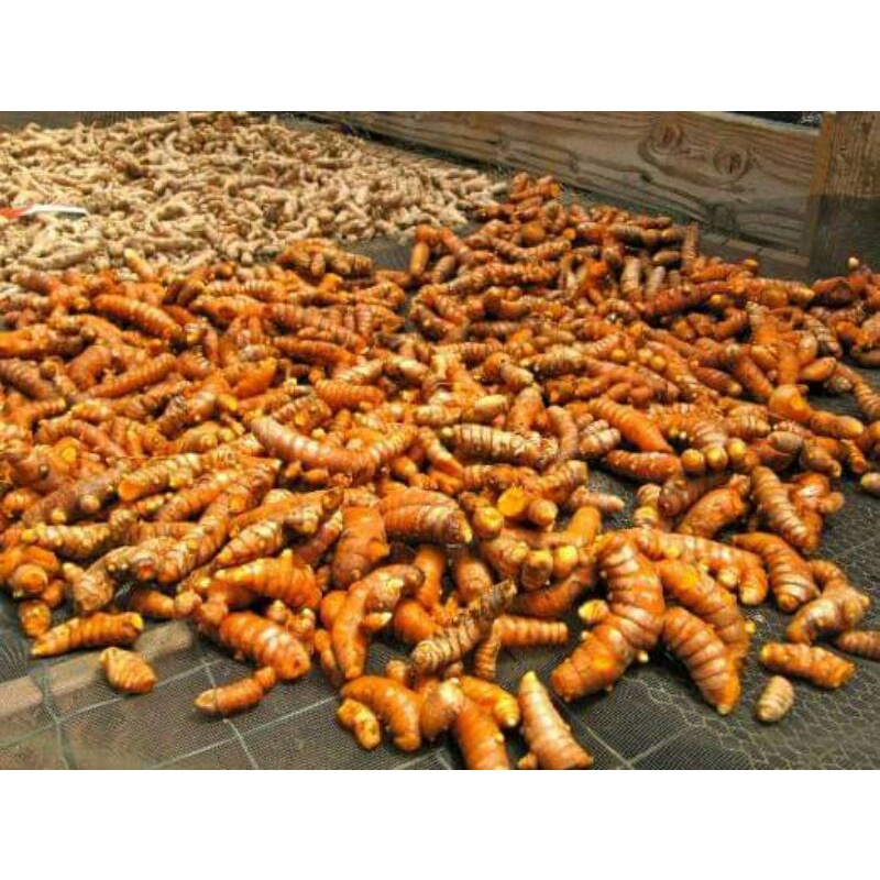 1Kg Tinh Nghệ Nguyên Chất Chuẩn Đăk Lăk Loại 1