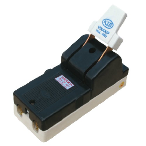 Cầu dao điện 2 pha 100A 600V cực đúc- Vinakip