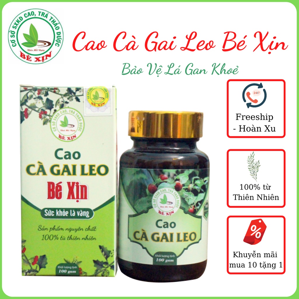 Cao Cà Gai Leo Bé Xịn dạng cô đặc Hộp 100gr OCOP 3 sao Bảo Vệ Lá Gan của bạn