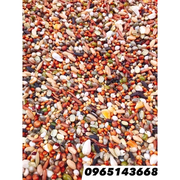 2kg ngũ cốc 13 loại hạt giúp cu gáy căng lửa