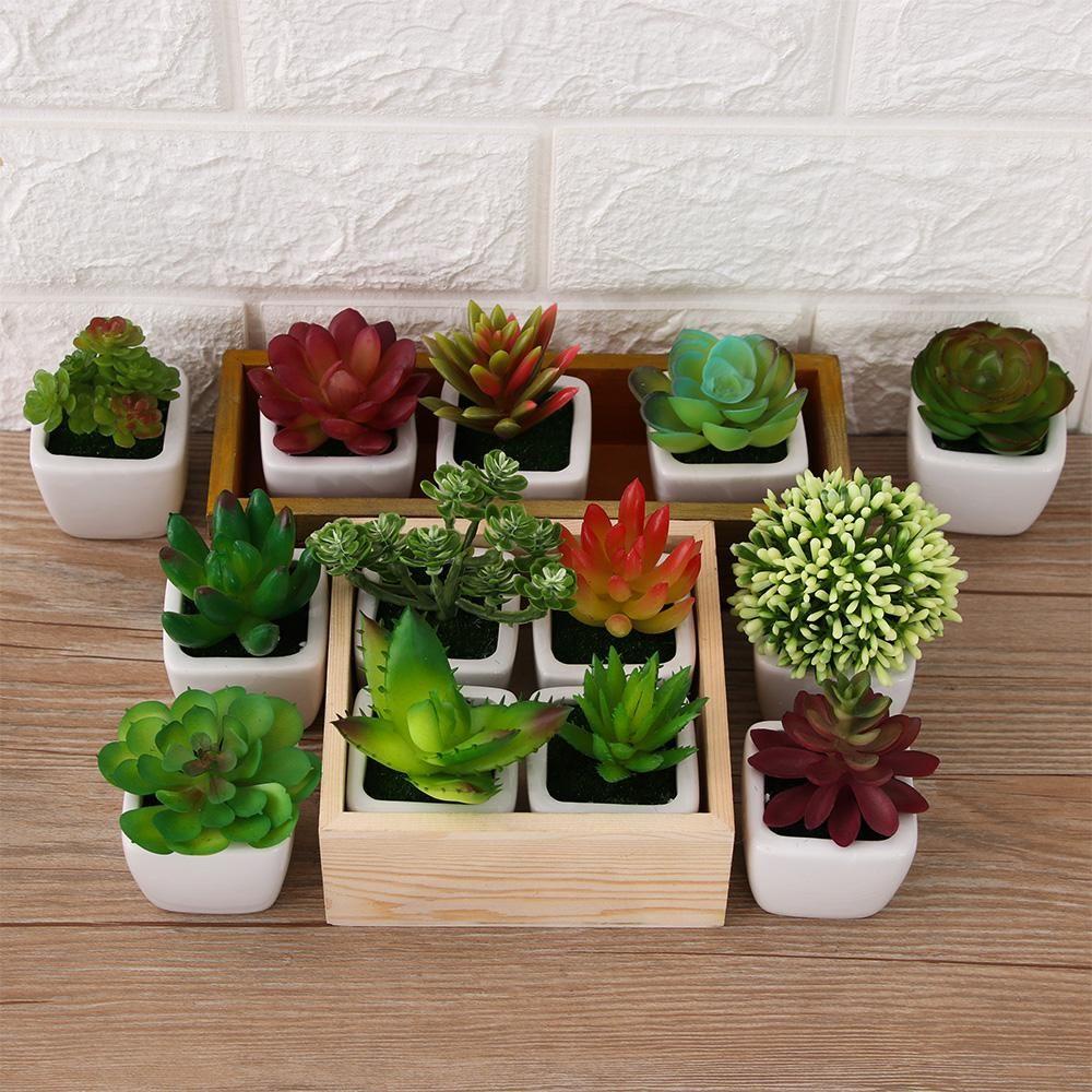 Chậu Cây Bonsai Giả Mini Trang Trí Nhà Cửa Chất Lượng Cao