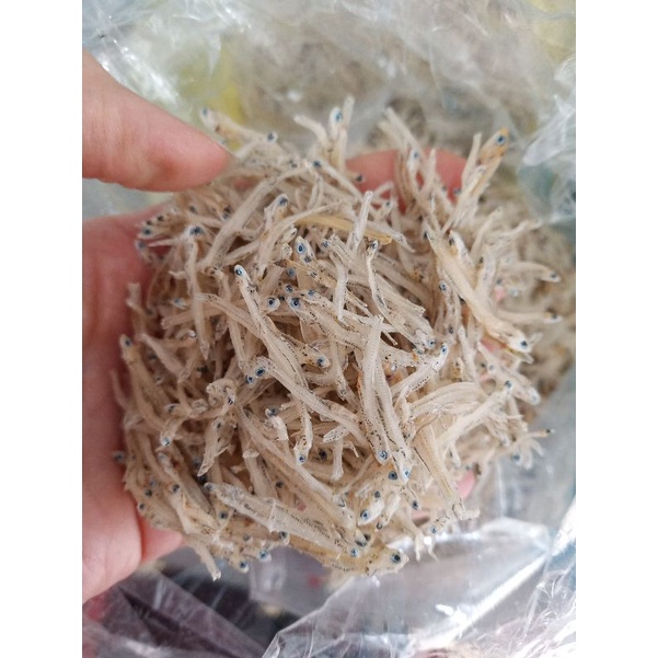 CÁ MỜM/ CÁ CƠM SỮA KHÔ loại 1